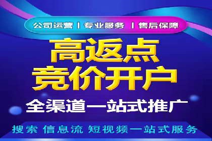 行业应用案例：SEM代运营公司的智慧与策略
